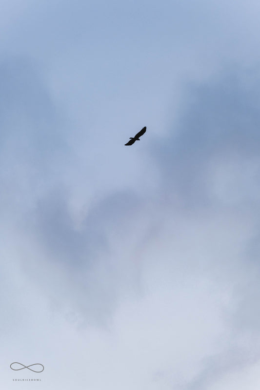 從迷惘到相遇：我與頌缽的故事