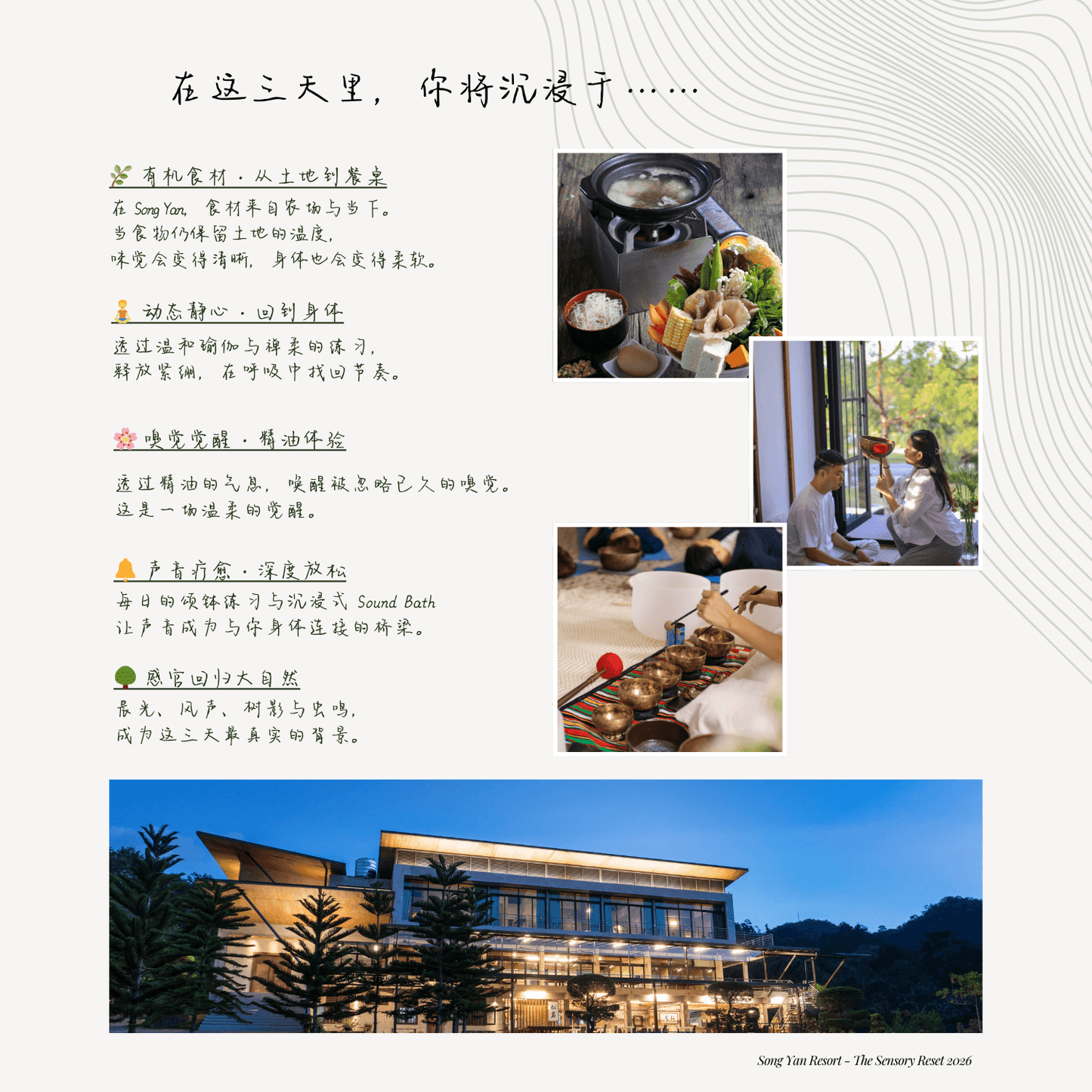 The Sensory Retreat 2026 - 感官回归之旅