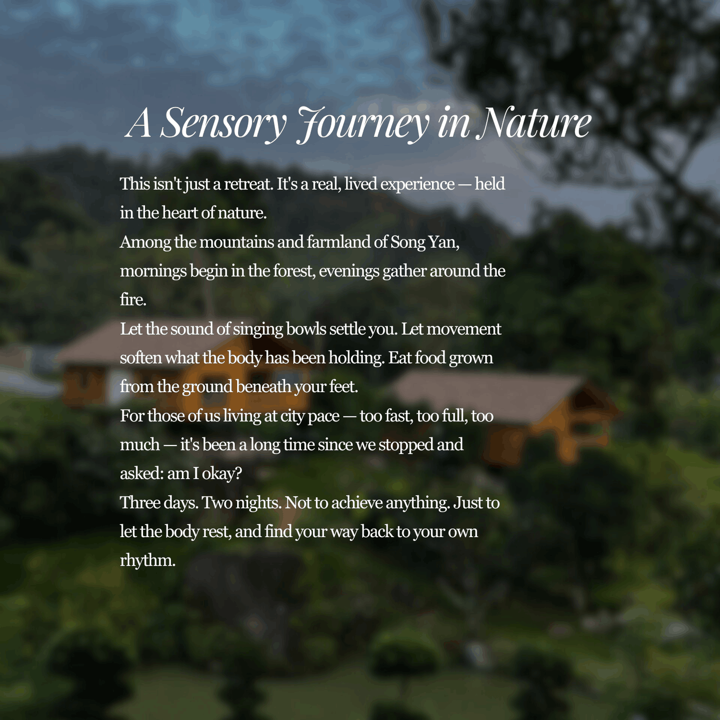 The Sensory Retreat 2026 in Song Yan